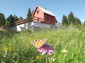 Отель Šepić Accommodation, Жабляк